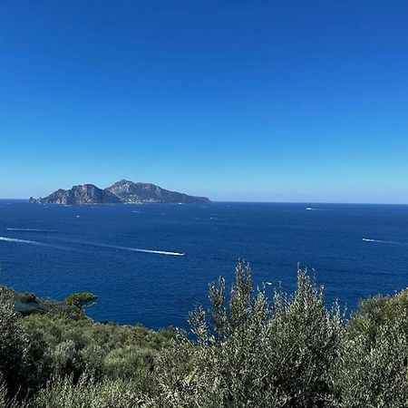 Apartment Don Luigino - Capri View By Interhome Massa Lubrense Buitenkant foto